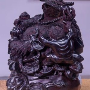 Tổng Cóc Gỗ Tử Đàn
