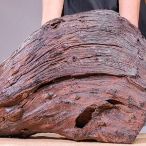 Diện Nhất Tâm Bái Phật Gỗ Trắc Lũa