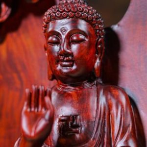 Nhất Tâm Bái Phật Gỗ Trắc