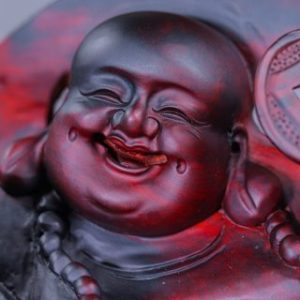 Di Lạc Ngũ Tiểu Gỗ Trắc