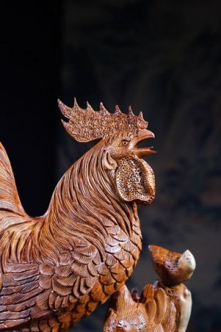 Gia Đình Gà Gỗ Hương