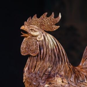 Gia Đình Gà Gỗ Hương Gia Đình Gà Gỗ Hương