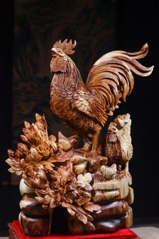 Gia Đình Gà Gỗ Hương Gia Đình Gà Gỗ Hương