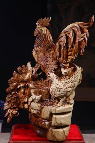 Gia Đình Gà Gỗ Hương Gia Đình Gà Gỗ Hương