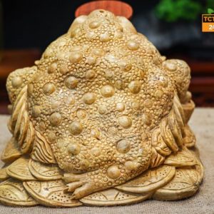Thiền thừ ngọc nghiến