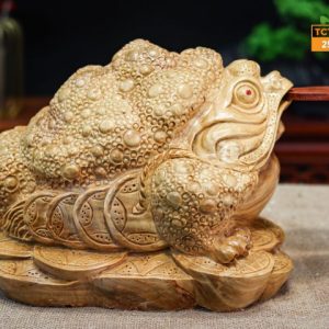 Cóc ngọc nghiến