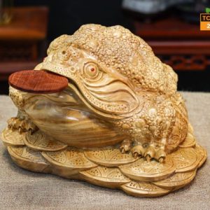 Cóc ngọc nghiến