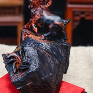 Nhất dương gỗ trắc