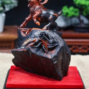 Nhất dương gỗ trắc