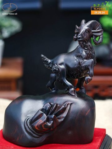 Nhất dương gỗ trắc đen