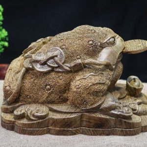 Thiềm thừ mun đuôi công