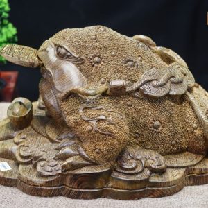Thiềm thừ mun đuôi công