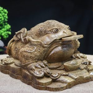Thiềm thừ mun đuôi công