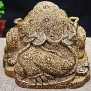 Thiềm thừ mun đuôi công