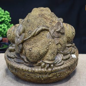 Thiềm thừ mun đuôi công