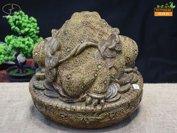 Thiềm thừ mun đuôi công