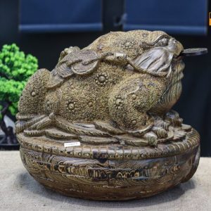 Thiềm thừ mun đuôi công