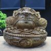 Thiềm thừ mun đuôi công