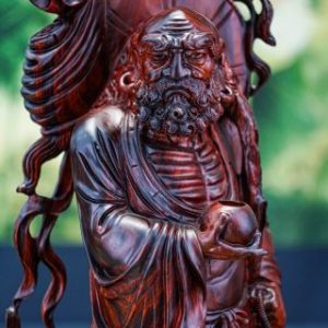 Đạt ma gỗ trắc