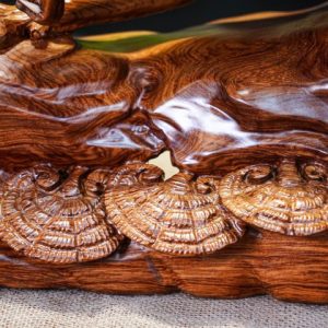 Báo săn mồi gỗ cẩm