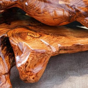 Báo săn mồi gỗ cẩm