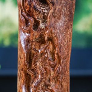 Nhất long gỗ nu sưa