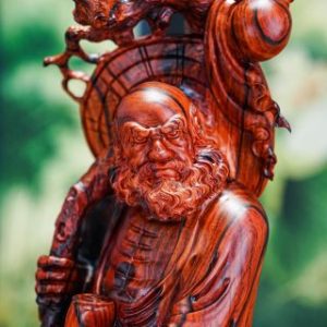 Đạt ma gỗ trắc
