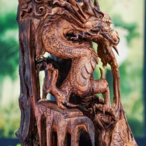 Cá chép hoá rồng lũa cẩm
