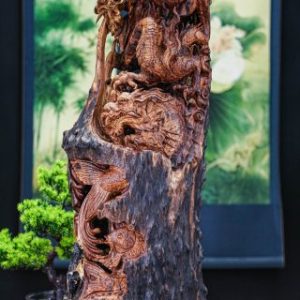 Cá chép hoá rồng lũa cẩm