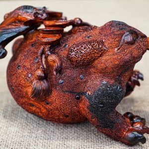Cóc gỗ trắc