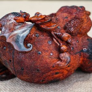 Cóc gỗ trắc