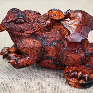 Cóc gỗ trắc