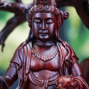 Phật bà gỗ trắc