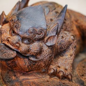 Thiềm thừ có xừng gỗ trắc