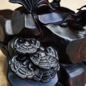 Nhất mã phi thiên gỗ trắc