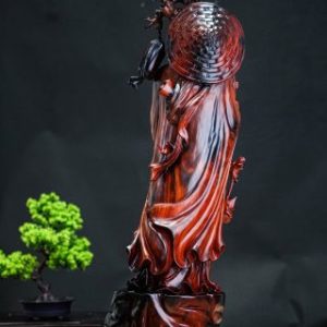 Đạt ma gỗ trắc
