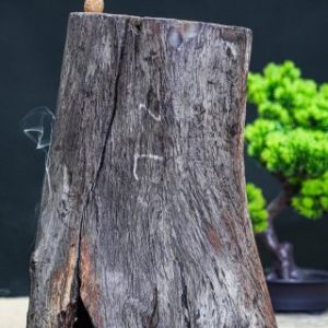 Đạt ma ngồi thiền xông trầm