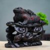 Cóc gỗ trắc Cóc gỗ trắc