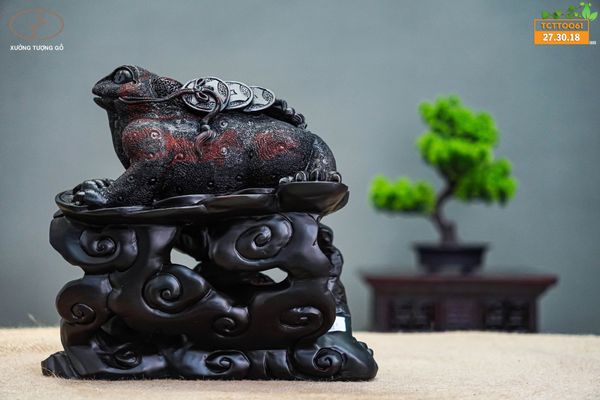Cóc gỗ trắc