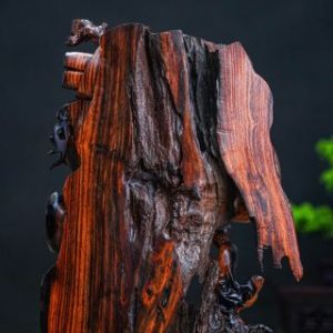 Đạt ma đứng gỗ trắc