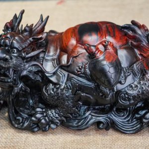 Long quy mẫu tử gôc trắc
