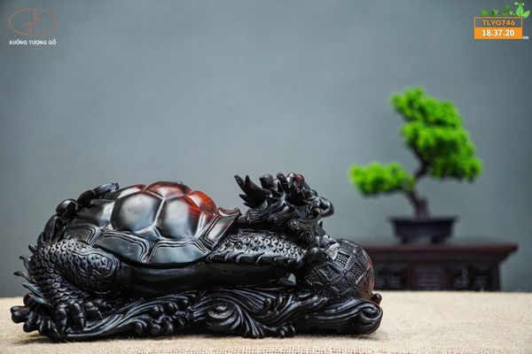 Long quy mẫu tử gôc trắc