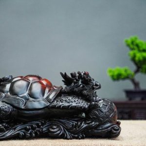 Long quy mẫu tử gôc trắc