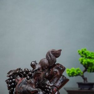 Nho sóc gỗ trắc Nho sóc gỗ trắc