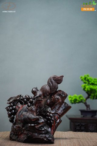 Nho sóc gỗ trắc Nho sóc gỗ trắc