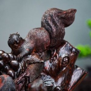 Nho sóc gỗ trắc Nho sóc gỗ trắc