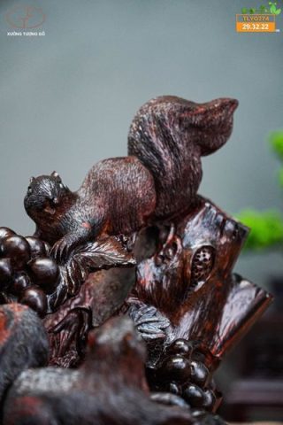 Nho sóc gỗ trắc