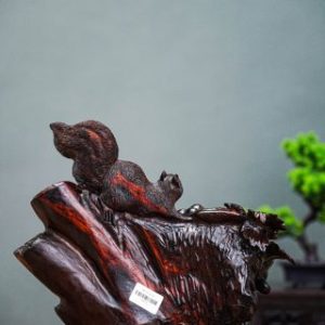 Nho sóc gỗ trắc Nho sóc gỗ trắc