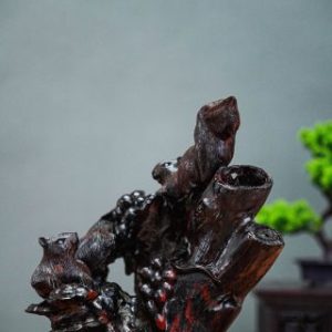 Nho sóc gỗ trắc Nho sóc gỗ trắc
