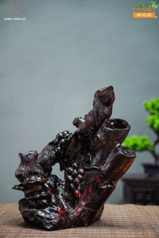 Nho sóc gỗ trắc Nho sóc gỗ trắc